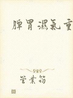 脾胃湿气重症状