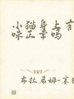 小猫身上有尿骚味正常吗封面