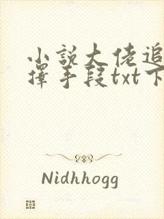 小说大佬追妻不择手段txt下载