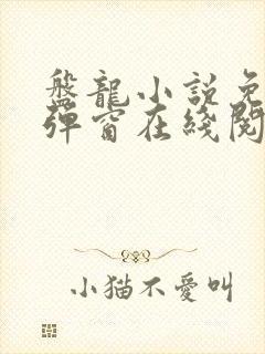 盘龙小说免费无弹窗在线阅读