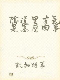 阴道里有气排出是怎么回事