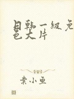 日韩一级免费黄色大片