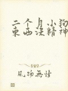 二个月小狗不吃东西没精神怎么办