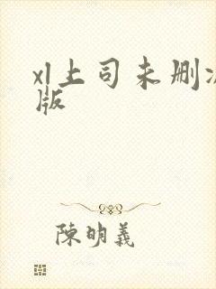 xl上司未删减版