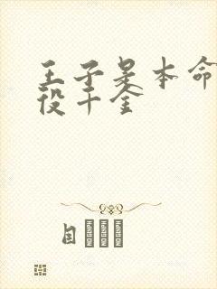 王子是本命是恶役千金