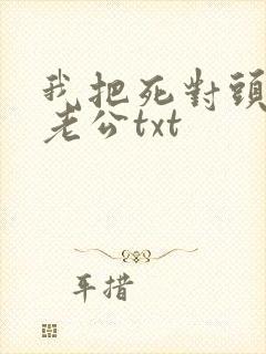 我把死对头养成老公txt封面