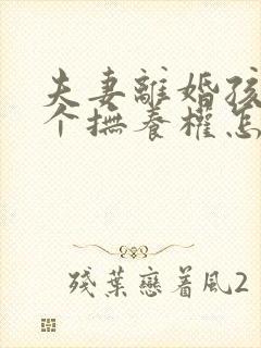 夫妻离婚孩子两个抚养权怎么判定