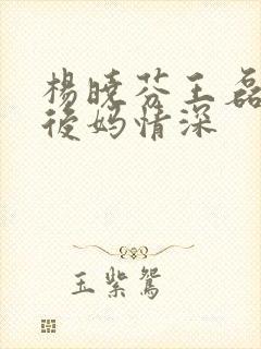 杨晓芬王磊小说后妈情深