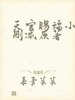 天官赐福小说无删减原著