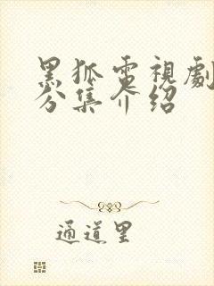 黑狐电视剧剧情分集介绍封面