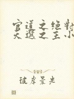 官道之绝对权力天选之主小说免费看封面