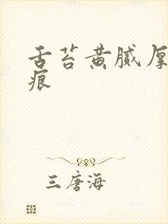 舌苔黄腻厚有齿痕