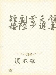 短剧当天领证闪婚陆少追妻忙全集免费观看