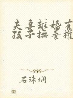 夫妻离婚有两个孩子抚养权怎么判定封面