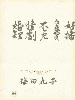 婚情不负好春光短剧免费播放