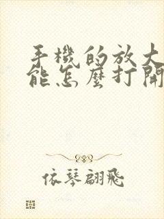 手机的放大镜功能怎么打开