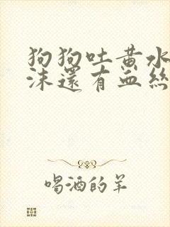 狗狗吐黄水带泡沫还有血丝