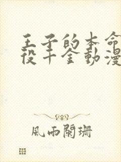 王子的本命是恶役千金动漫在线免费观看