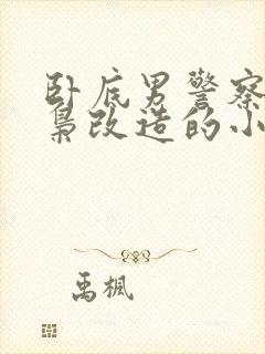 卧底男警察被毒枭改造的小说