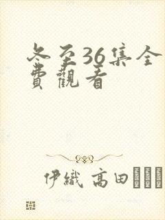 冬至36集全免费观看