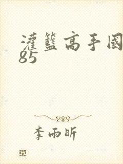 灌篮高手国语版85