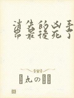 消失的凶手许子昂最后死了么封面