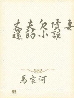 丈夫欠债妻子偿还的小说