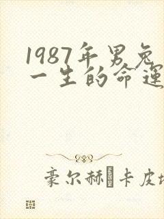 1987年男兔一生的命运封面