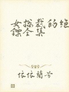 女总裁的绝世保镖全集封面