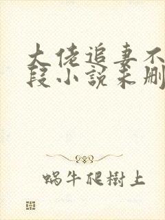 大佬追妻不择手段小说未删版完整