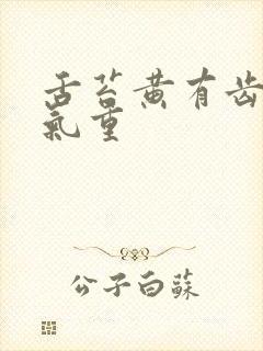 舌苔黄有齿痕湿气重