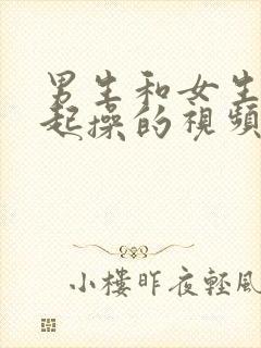 男生和女生在一起操的视频