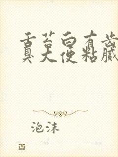 舌苔白有齿痕口臭大便粘腻