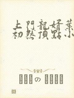 上门龙婿叶辰萧初然顶点小说