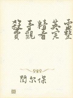 杀手精英电影免费观看完整版