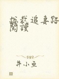 总裁追妻路漫漫阅读