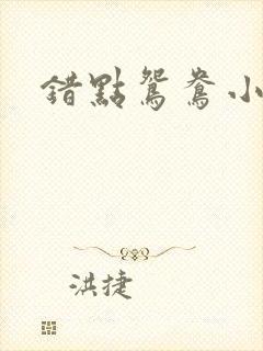 错点鸳鸯小说
