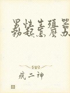 男性生殖器不能勃起怎么办