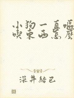 小狗一直呕吐不吃东西怎么办