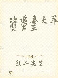 攻追妻火葬场的双男主