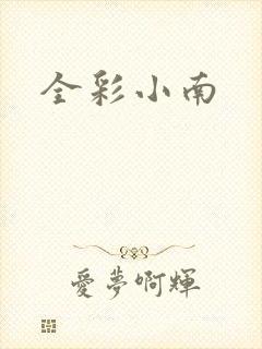 全彩小南封面