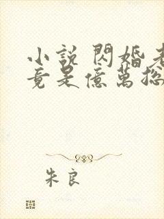 小说 闪婚老公竟是亿万总裁