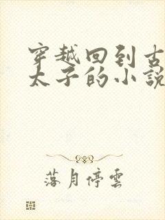 穿越回到古代当太子的小说