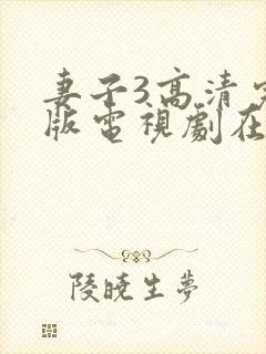 妻子3高清完整版电视剧在线观看