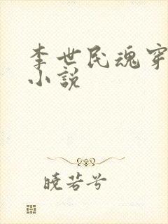 李世民魂穿阿斗小说