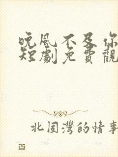 晚风不及你薄情短剧免费观看