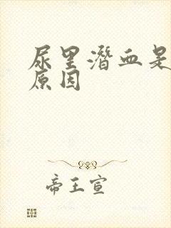 尿里潜血是什么原因