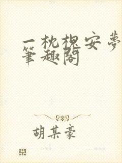 一枕槐安梦清欢笔趣阁封面