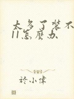 太多了装不下h11怎么办封面