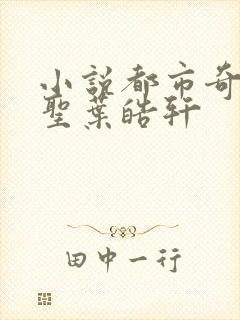 小说都市奇门医圣叶皓轩